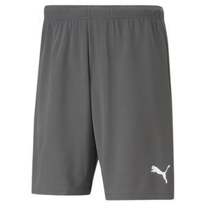 704942-13-shorts-puma-team-rise-grau-weiss
