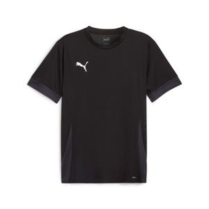 705747-03-trikot-puma-teamgoal-matchday-schwarz