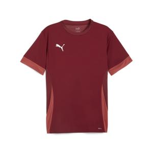 705747-09-trikot-puma-teamgoal-rot