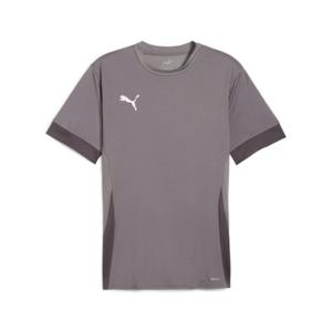 705747-13-trikot-puma-teamgoal-matchday-grau