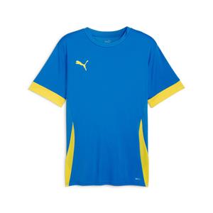 705747-16-trikot-puma-teamgoal-blau