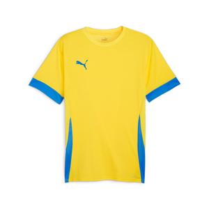 705747-17-trikot-puma-teamgoal-gelb