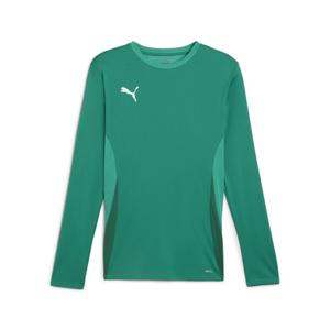 705750-05-langarmtrikot-puma-teamgoal-grun