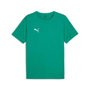 706132-05-trikot-puma-team-rise-matchday-grun