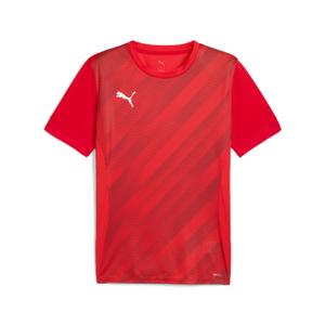 707112-01-trikot-puma-teamgoal-graphic-rot