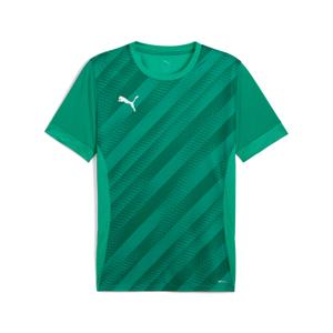 707112-05-trikot-puma-teamgoal-graphic-grun