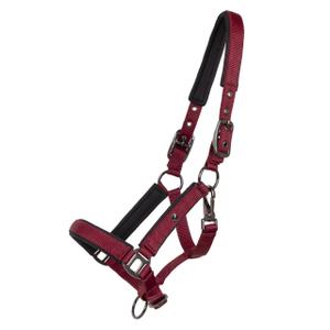 1194-bo-halfter-fur-pferd-qhp-deluxe-bordeaux
