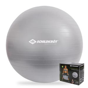 960155-gym-ball-schildkrot-silber