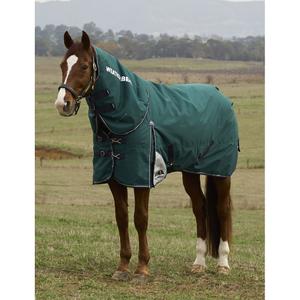 1029003001-abnehmbarer-aussenpferdedecke-mit-halsteil-weatherbeeta-comfitec-plus-dynamic-100g-forest-green-navy