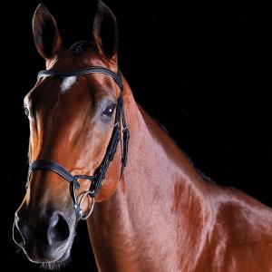 816078-818443-trainingszaumzeug-reiten-fur-pferde-weatherbeeta-collegiate-comfitec-schwarz